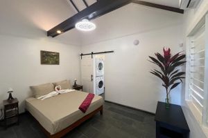 Alojamiento - Elegant Guest house walking distance to beach, pool, snorkeling, kayak and more.