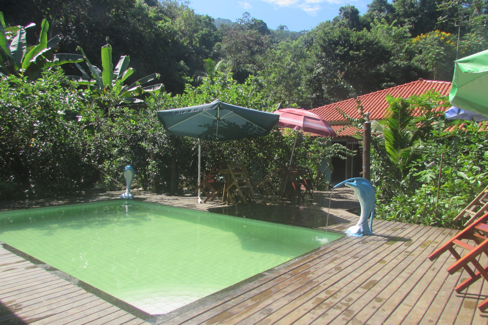 Vista Piscina Sítio Toca Do Biró Restaurante & Hostel
