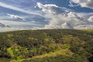 Alquiler Vacacional - Maslak Aparts