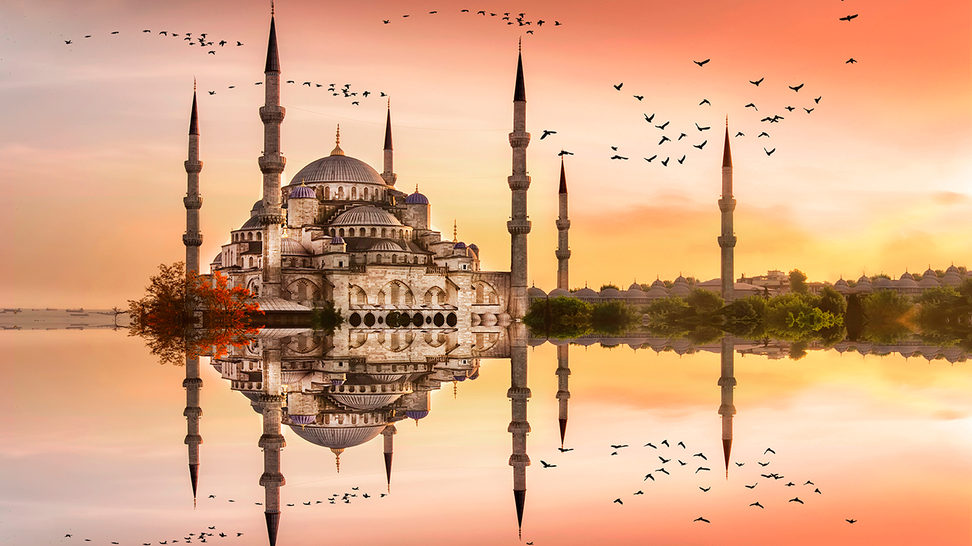 undefined