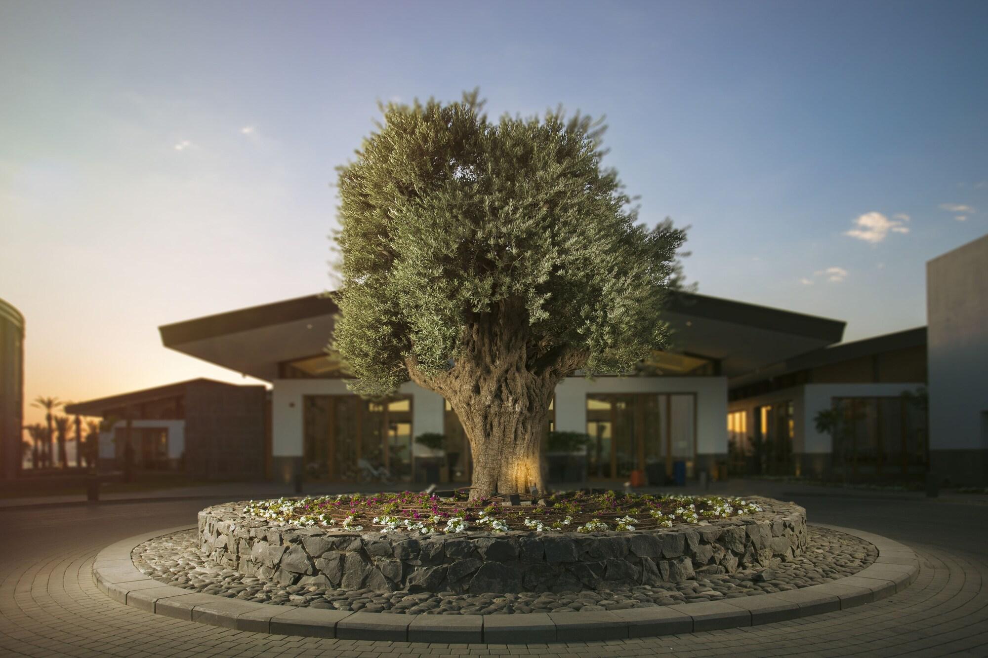 Vista Exterior The Setai Sea of Galilee