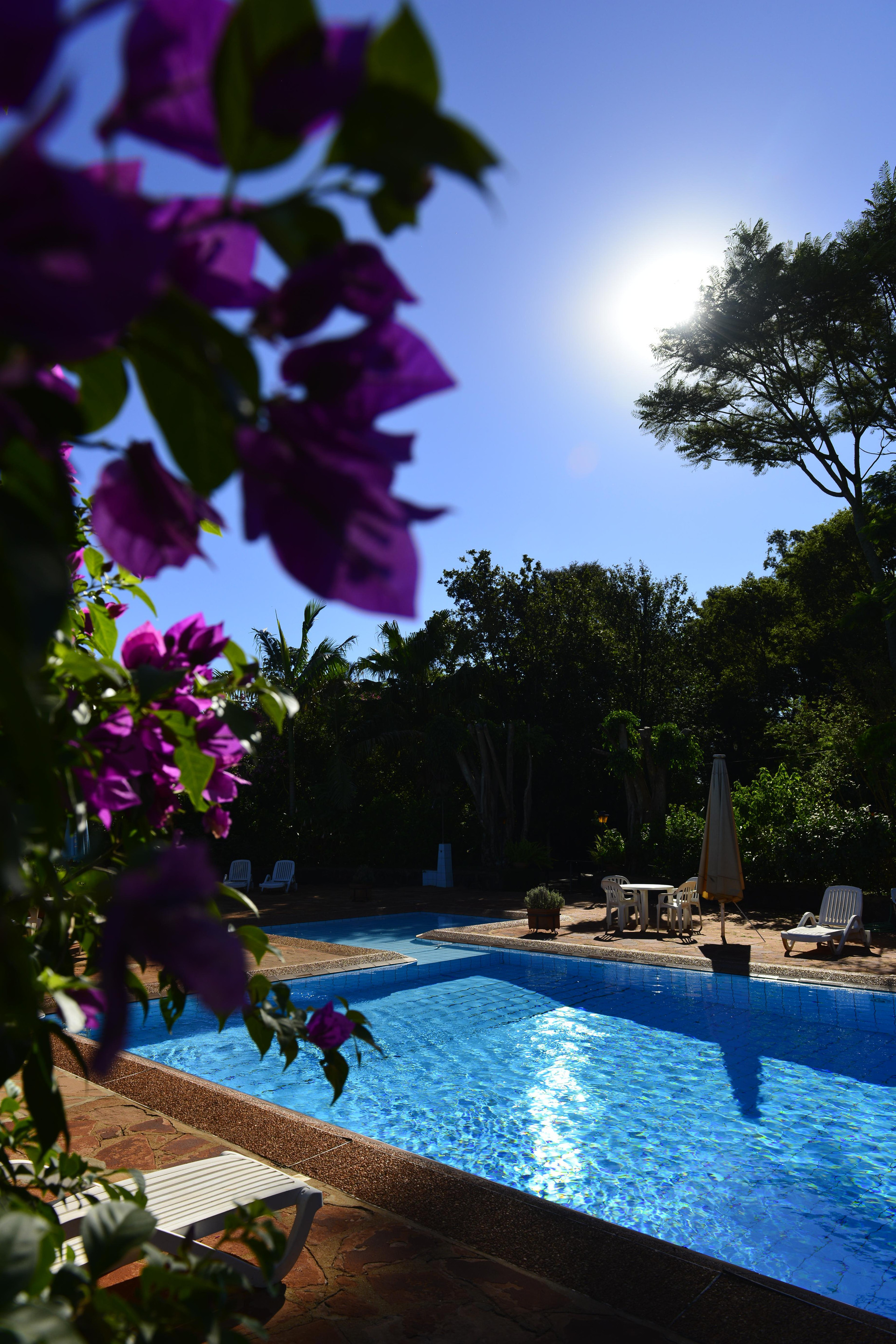 Vista Piscina Hotel Restaurant Papillon