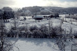 Alojamiento - San Lorenzo Si Alberga