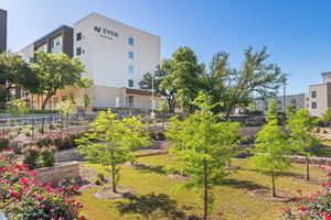 Alojamiento - EVEN Hotel Austin Uptown Near The Domain by IHG