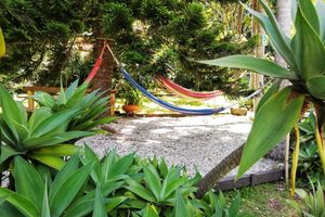 Alojamiento - Hotel Marrokos