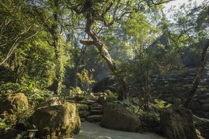 Alojamiento - Great Roots Forestry Spa Resort
