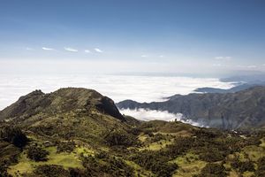 Actividad - Excursión privada de medio día al Parque Nacional Cajas