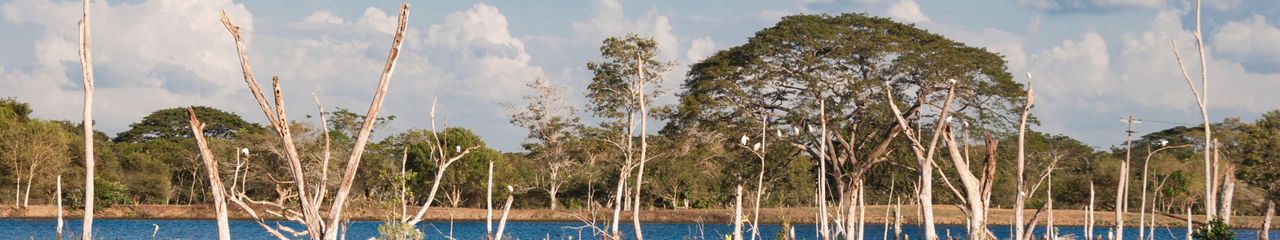 Hoteles en Monteria