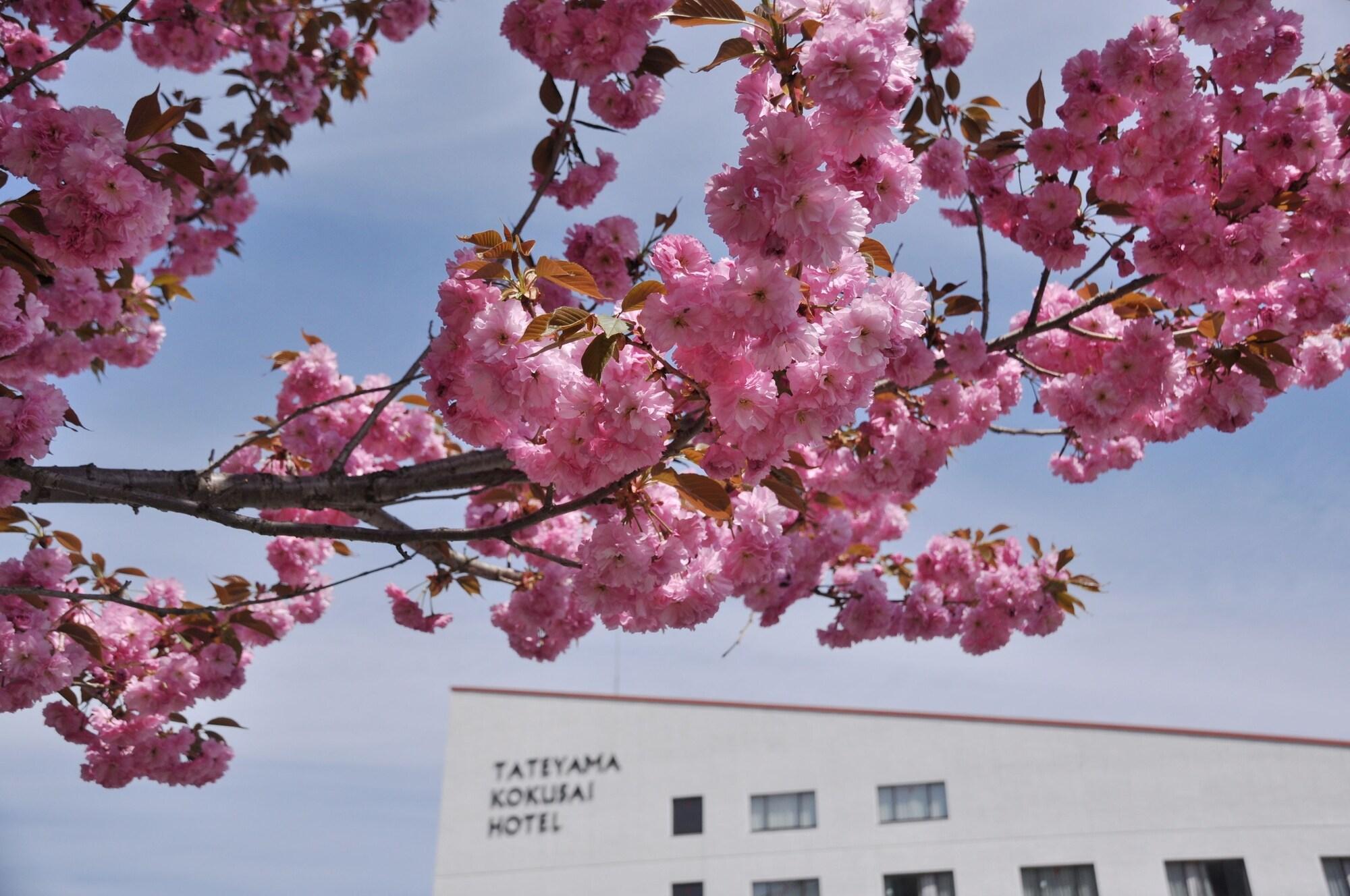 Vista Exterior Tateyama Kokusai Hotel