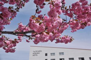 Alojamiento - Tateyama Kokusai Hotel