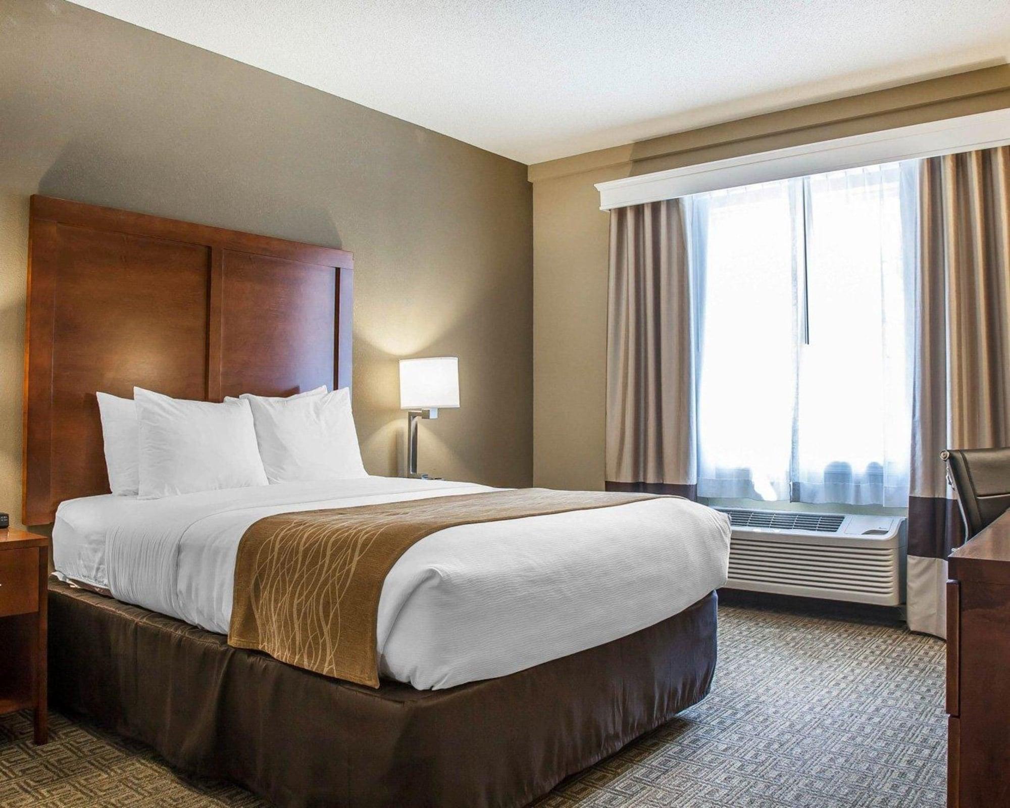 Habitación Comfort Inn & Suites Sturbridge - Brimfield