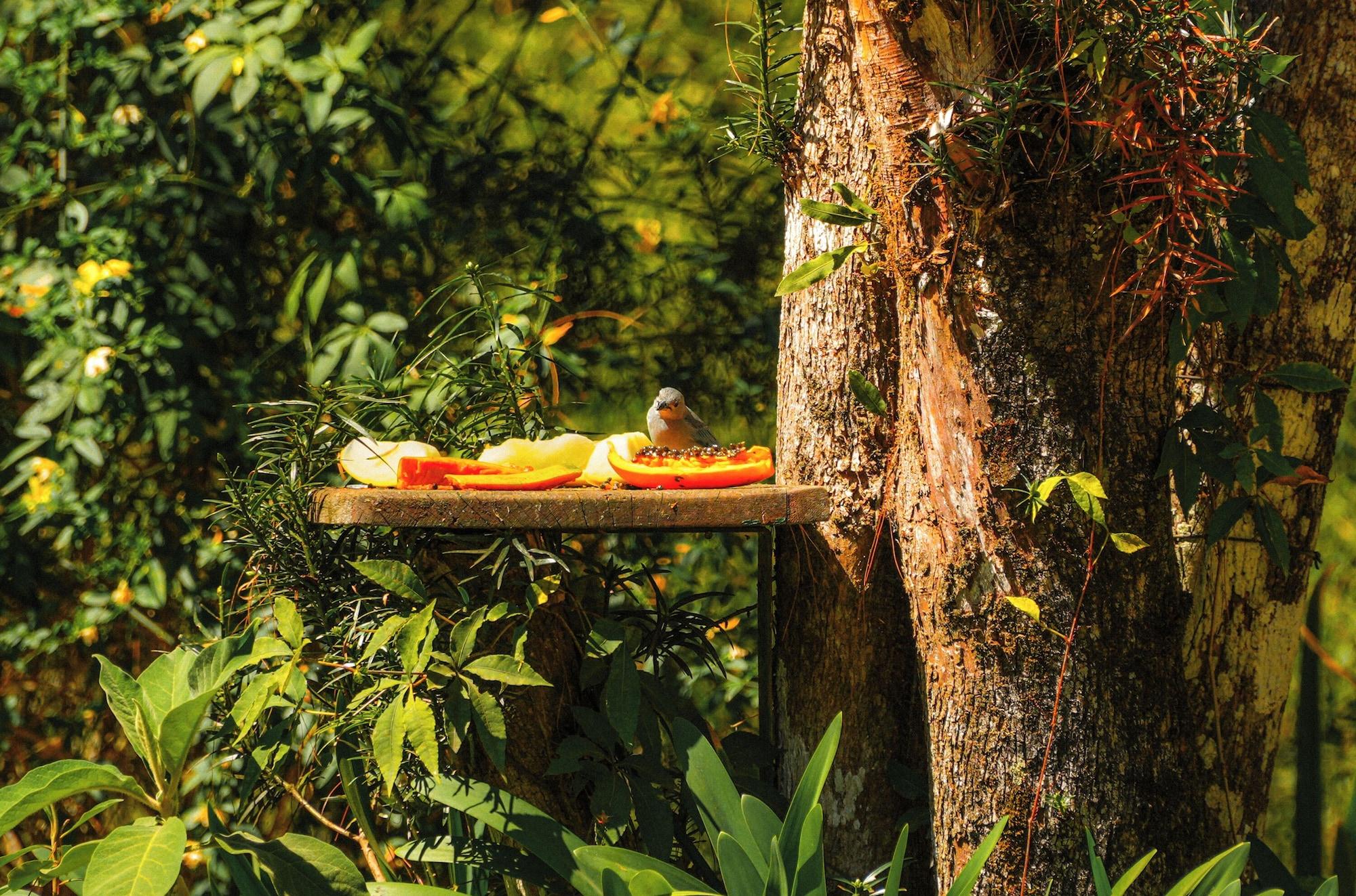 Instalaciones Recreativas VELINN Pousada Dom Sossego