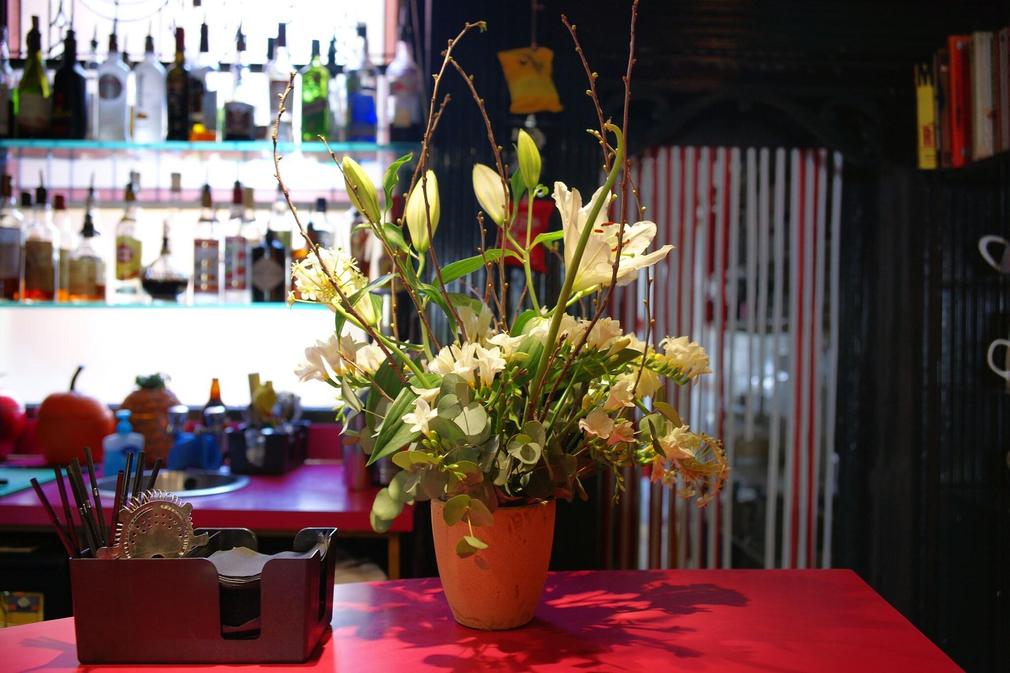 Bar/Salón Hotel Pelirocco