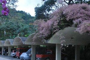 Alojamiento - Hotel Itapemar