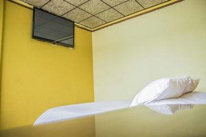 Alojamiento - Hotel Flores Los Ponchos