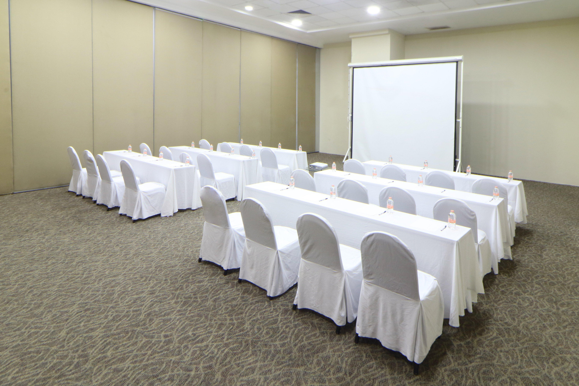 Centro de Negocios Holiday Inn Express Ciudad del Carmen