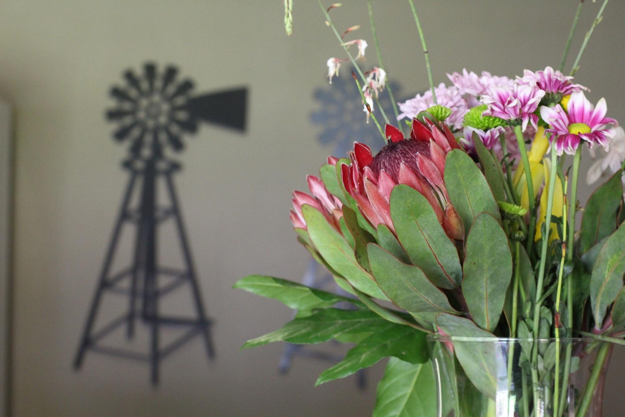 Vista Lobby 17 on Bird Guest House