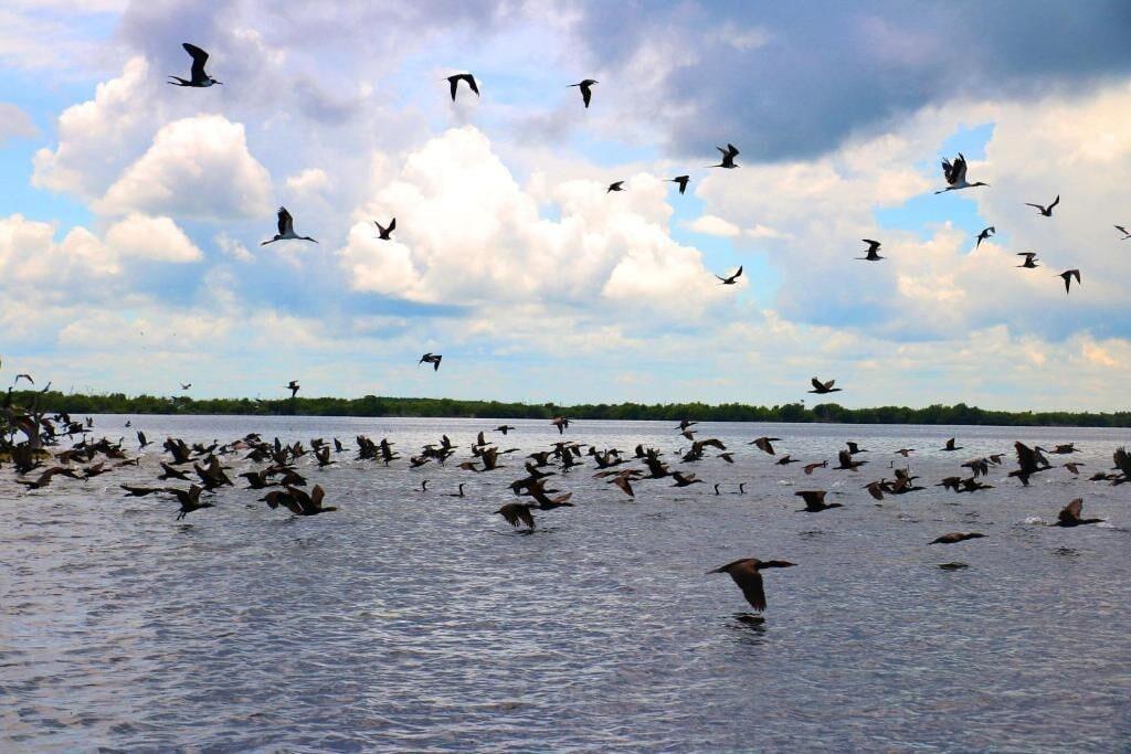 Playa San Felipe Inn Yucatan