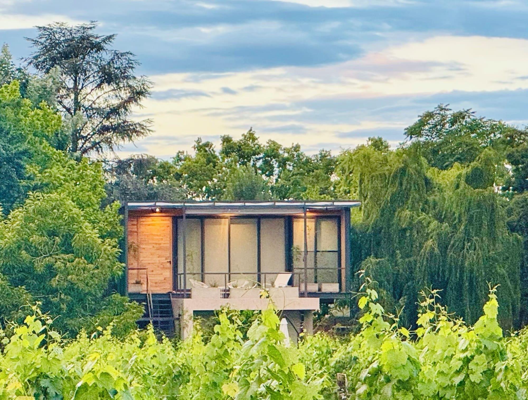 Vista Exterior Finca Adalgisa Wine Hotel