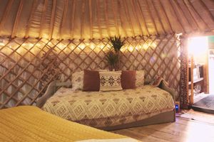 Alquiler Vacacional - Mushroom Yurt set in 4 Acres of Woodland and Lakes