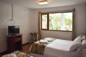 Alquiler Vacacional - Apartamentos Otorongo