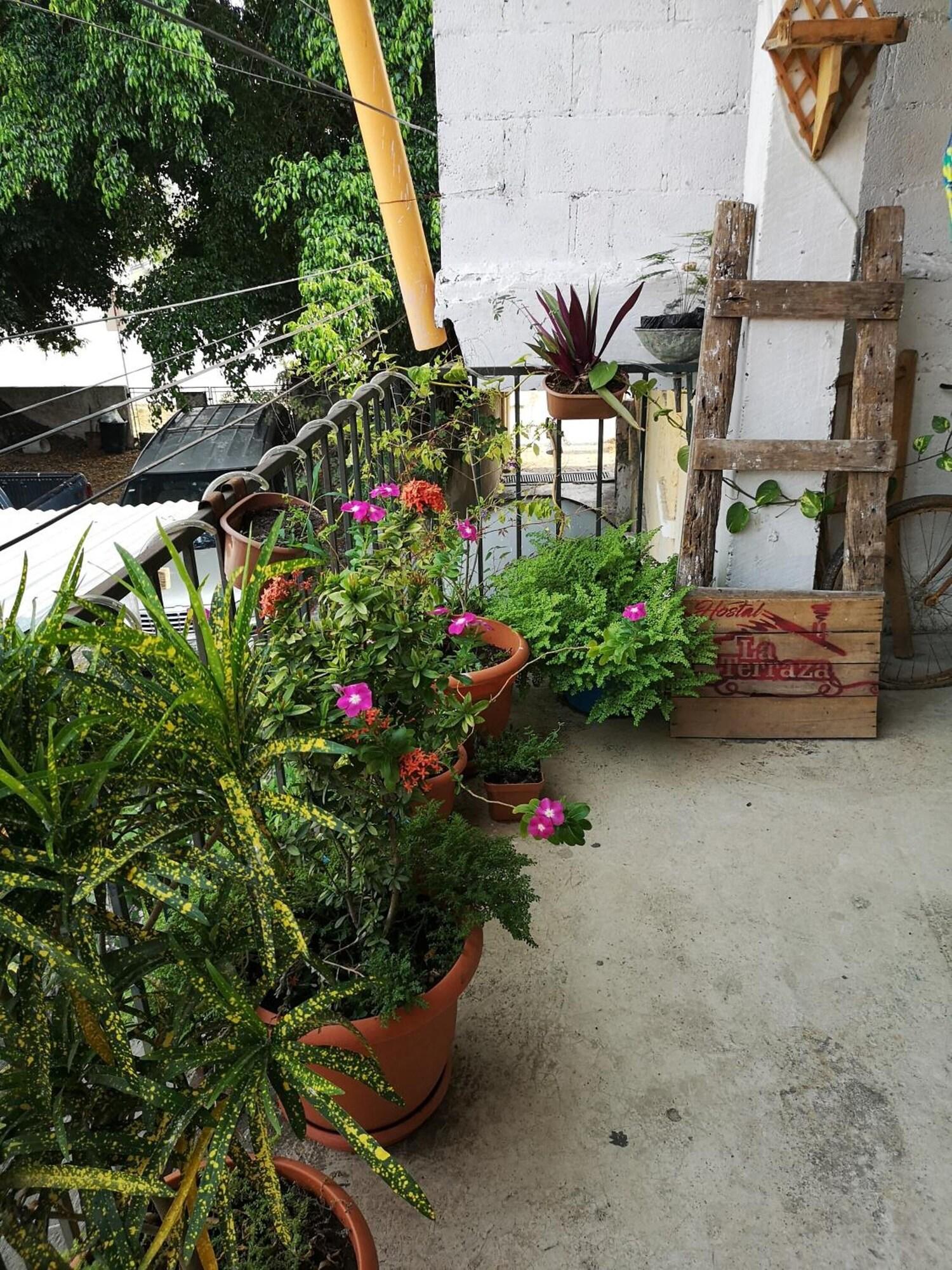 Comodidades del Alojamiento La Terraza Hostel