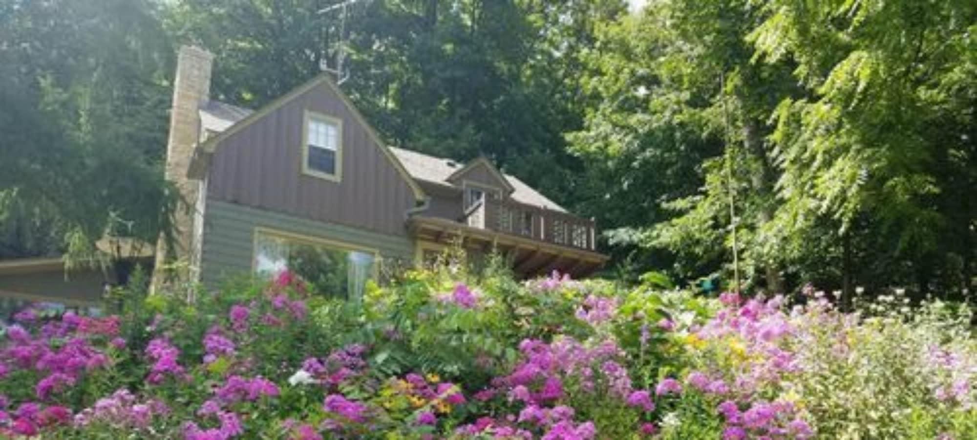 Vista Exterior Contented Cottage Bed and Breakfast