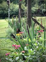 Alquiler Vacacional - COZY COTTAGE with thoughtful touches close to the AIRPORT, DOWNTOWN, & OPRY