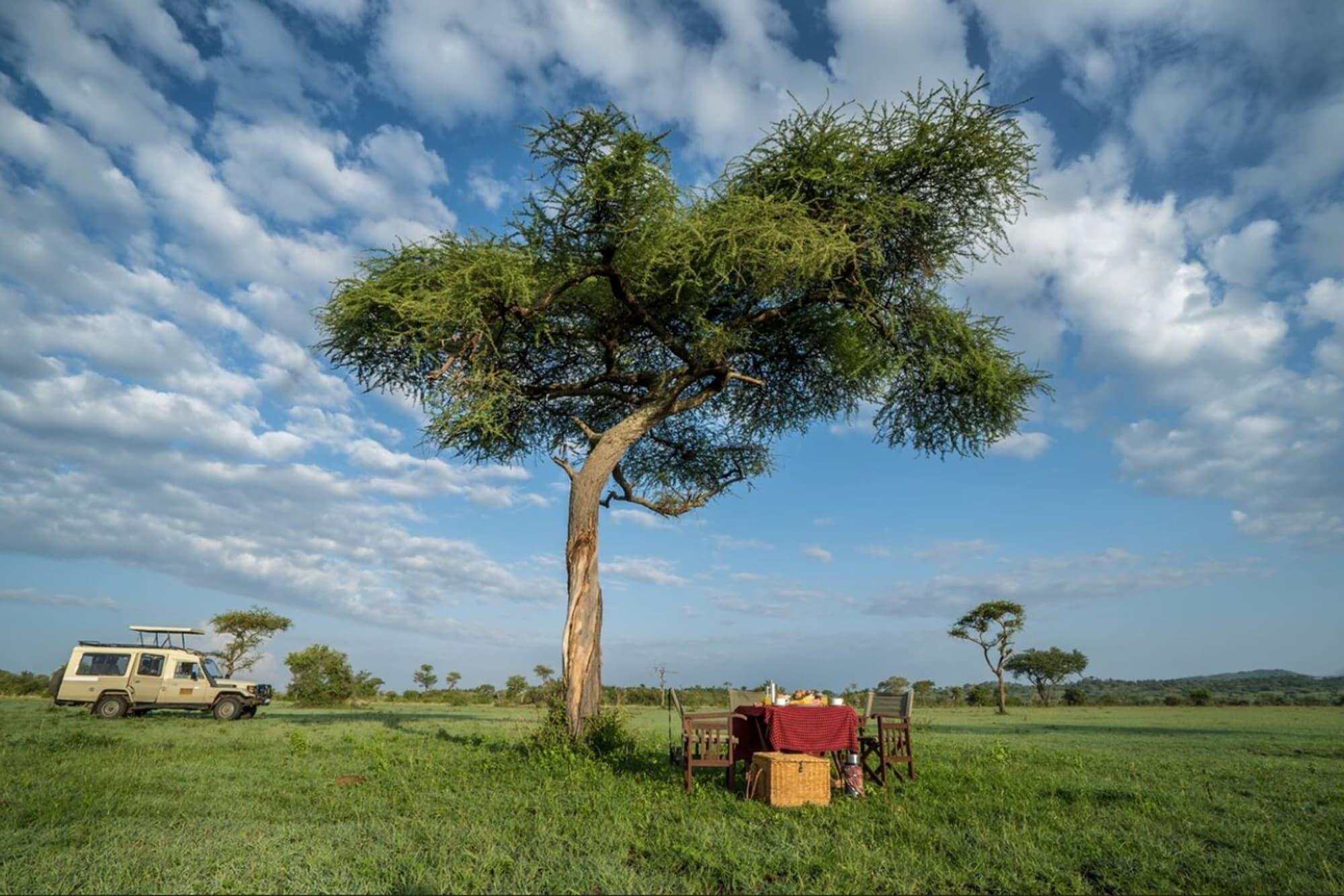 Instalaciones Recreativas Serengeti Simba Lodge