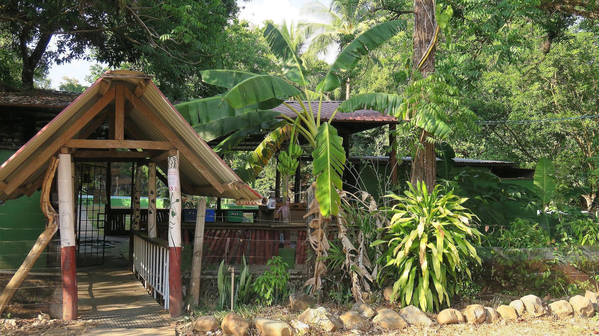 Vista Exterior Waterfall Hostel