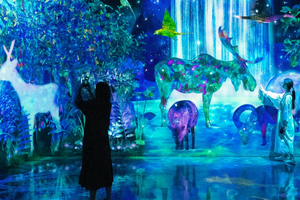 Actividad - TeamLab Forest Fukuoka: Interactive Art Tickets