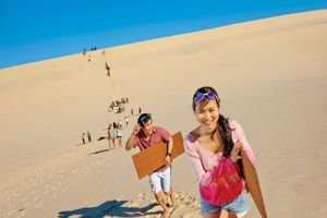 Actividad - Crucero de un día al desierto de la isla Tangalooma