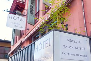 Alojamiento - La Féline Blanche