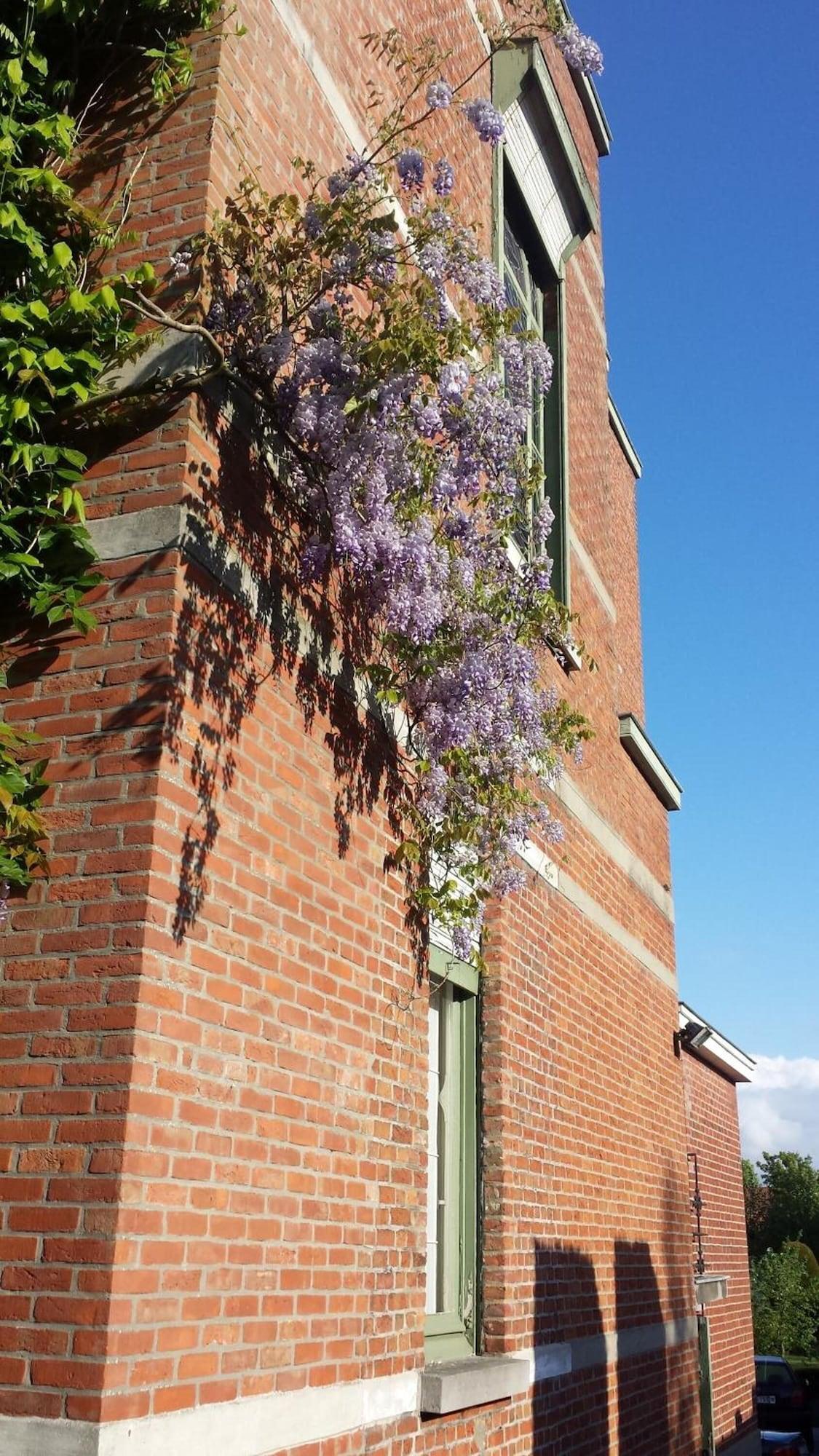 Vista Exterior Fine Fleur Bed & Breakfast