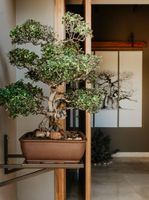 Alojamiento - umVangati House