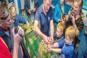 Actividad - Visita guiada a Seahorse World