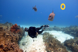 Actividad - Minicurso de Buceo