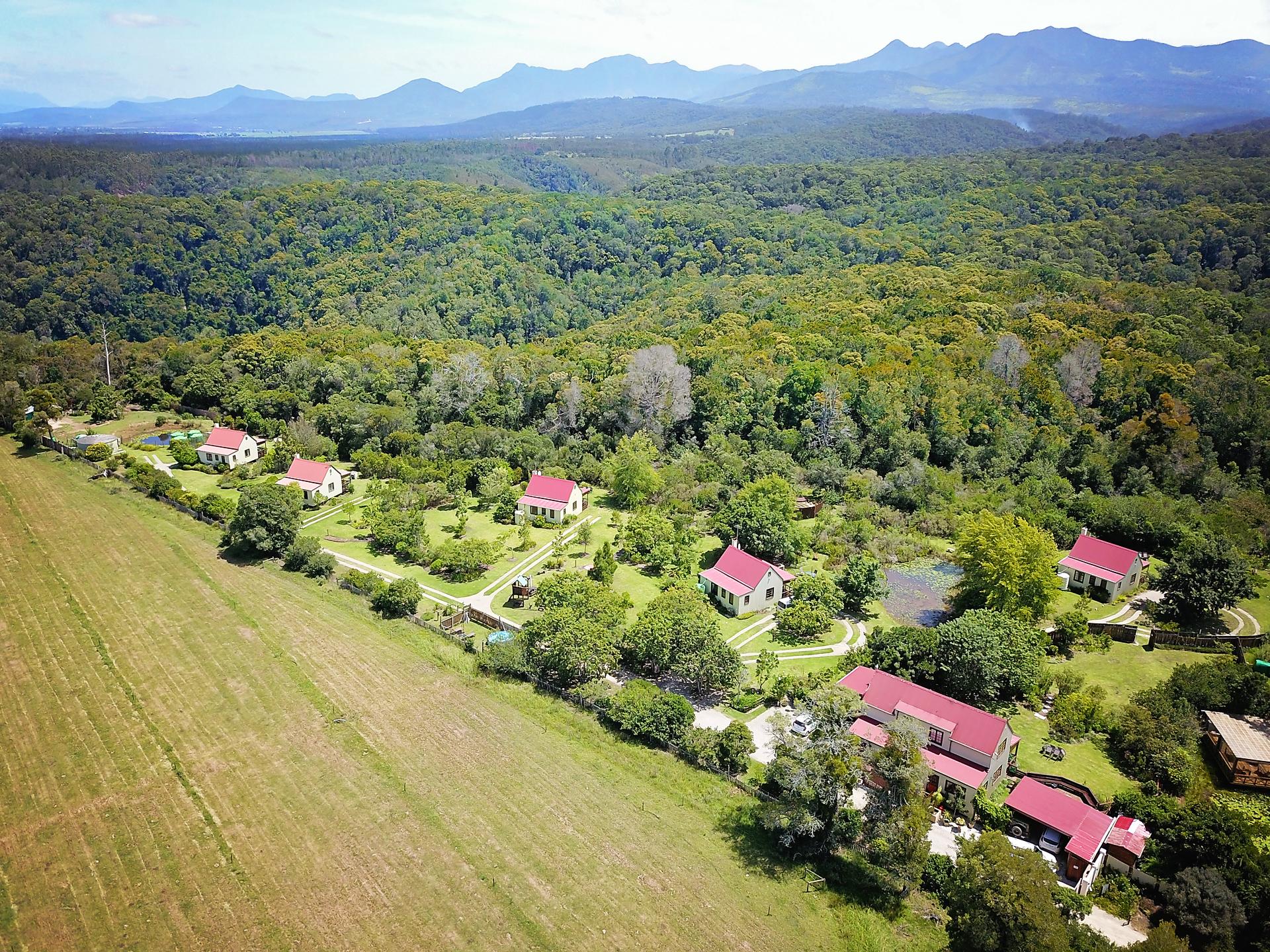 Vista Exterior Forest Edge Nature Lovers' Retreat