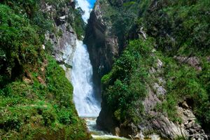 Actividad - Villa Rica: café y selva tropical