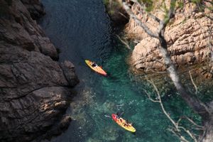 Alojamiento - RVHotels Avenida