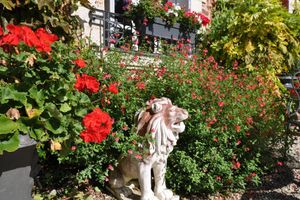Alojamiento - Manoir des Lions de Tourgéville