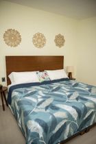 Hotel Casa Jima Agave - Best Day