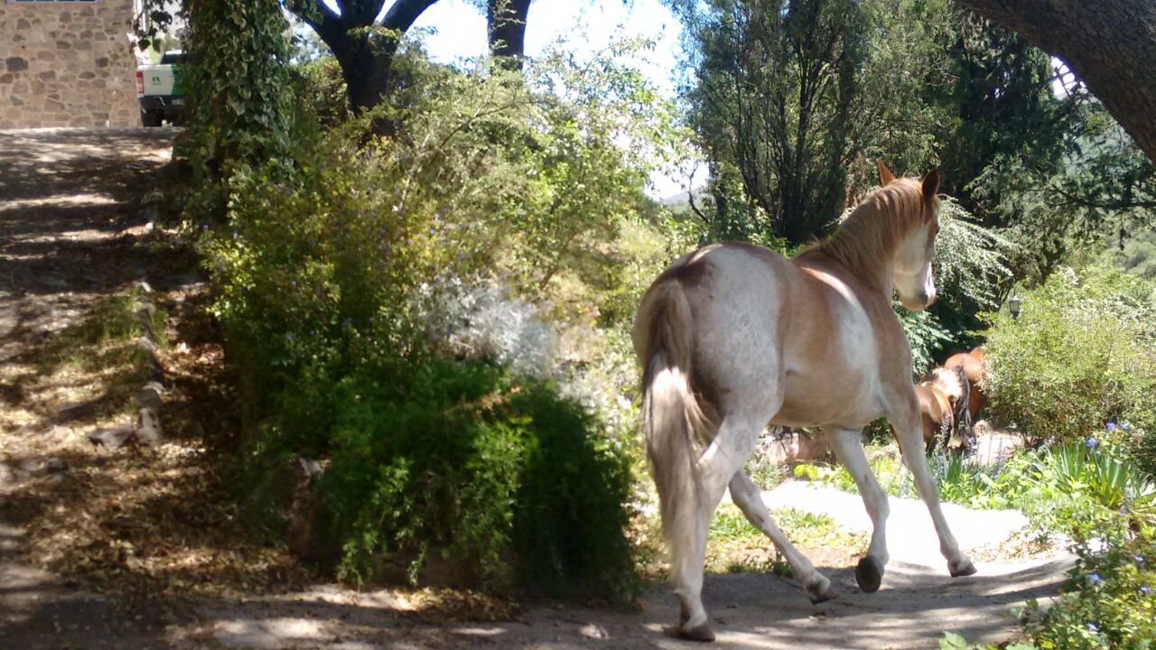 Varios Sevilla Hotel Boutique