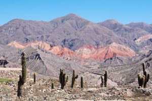 Actividad - Combo desde Salta: Tour Cafayate + Humahuaca + Traslado de llegada y salida + Walking Tour gratis