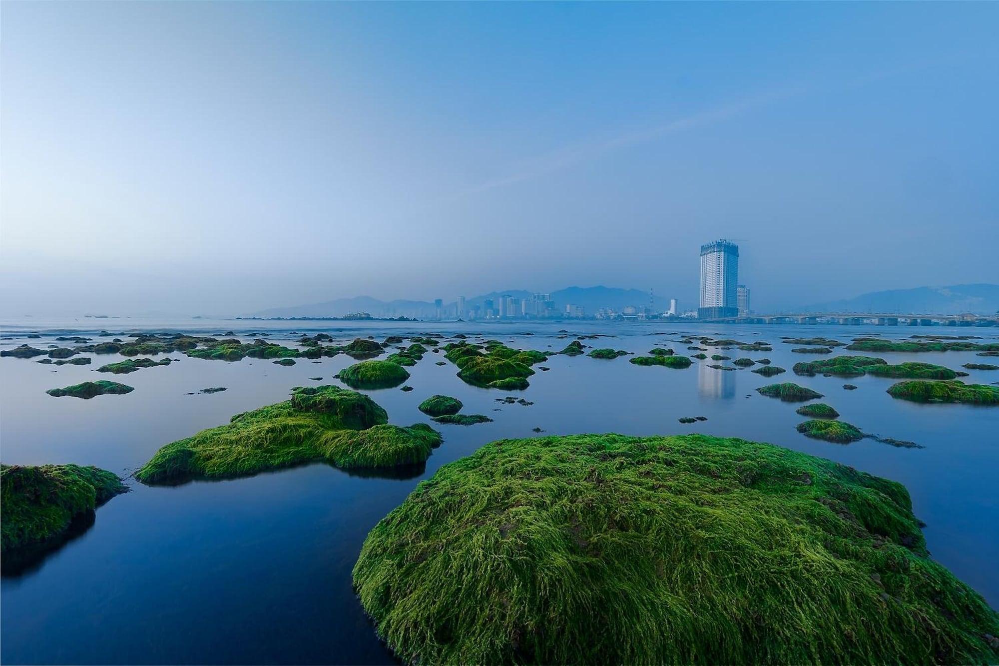 Playa Golden Lotus Central Hotel