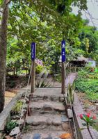 Alojamiento - Manigua Tayrona Hostel
