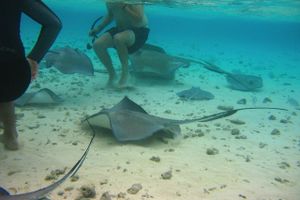 Actividad - Paseo en Pontón por la bahía de San Andrés