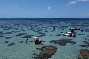 Actividad - Parrachos desde Rio do Fogo con lancha rápida