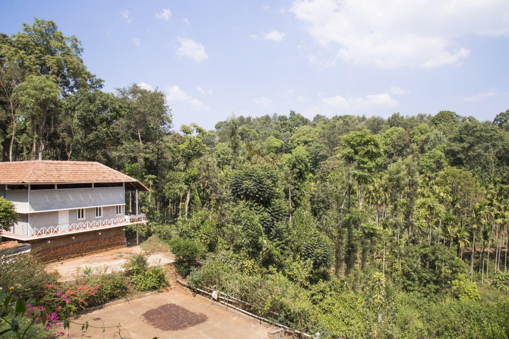 Vista Exterior GuestHouser 1 BR Bed & Breakfast