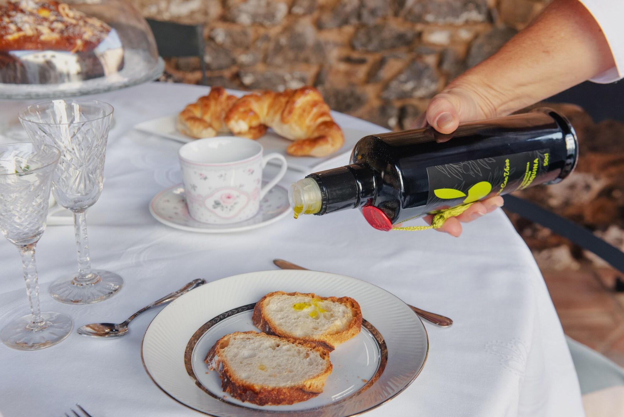 Restaurant Masia Can Viver - Olive oil tourism B&B